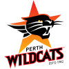 team-logo