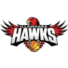 team-logo