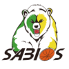 team-logo