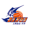 上海宝山大华女篮
