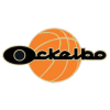 team-logo