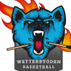 team-logo