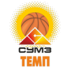 team-logo