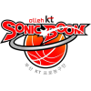 team-logo