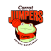 team-logo