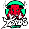 team-logo