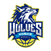 team-logo