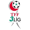 3. Lig Group 4