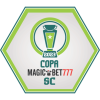 Copa Santa Catarina