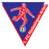 League1
