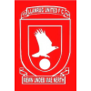 League1