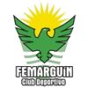 League1