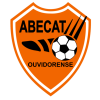 League1