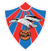 team-logo
