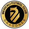 team-logo