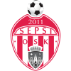 team-logo